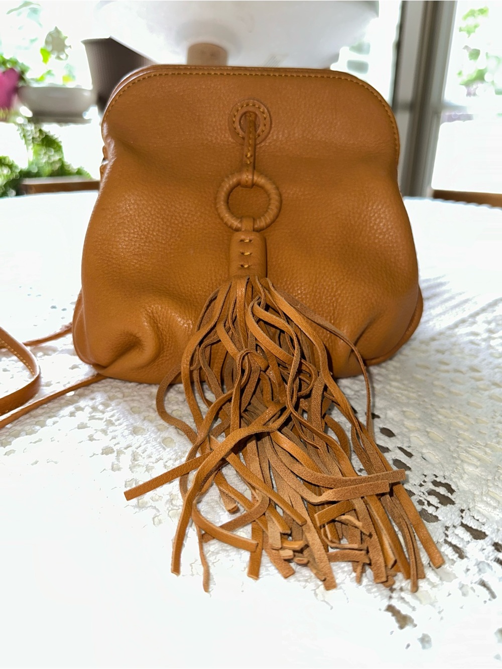 Hobo Birdy Leather Crossbody Bag